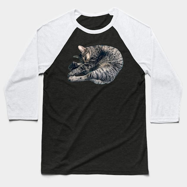 Sleeping Tabby Baseball T-Shirt by Amanda1775